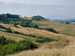 Toscana2011-166